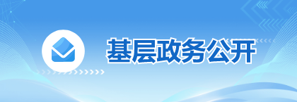 基层政务公开
