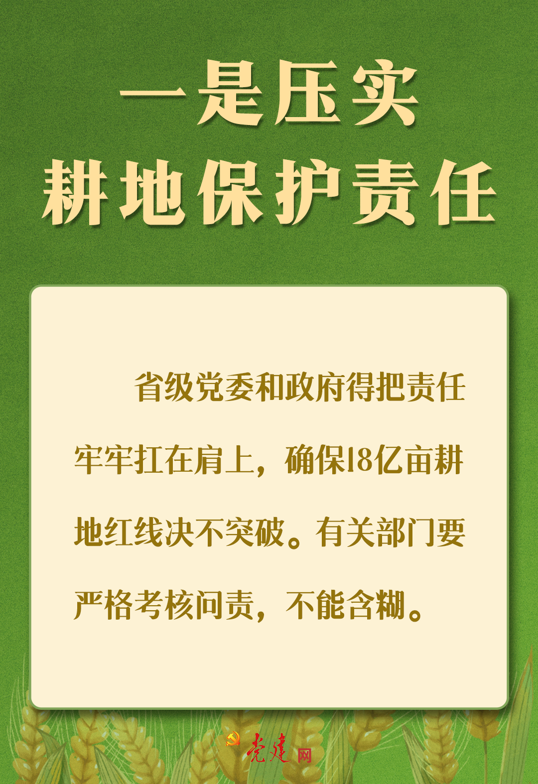 一图学习丨守住耕地这个命根子，总书记强调五个关键实招