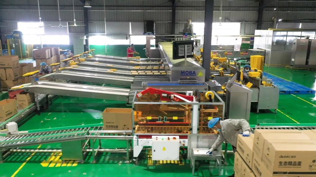 http://www.liaocheng.gov.cn/resources/public/20250218/67b43933806258504b28f85b.jpg