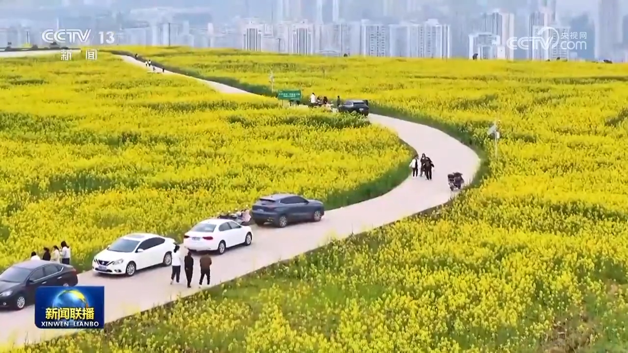 http://www.liaocheng.gov.cn/resources/public/20250318/67d932ef9f4b65d43d8ac797.jpg