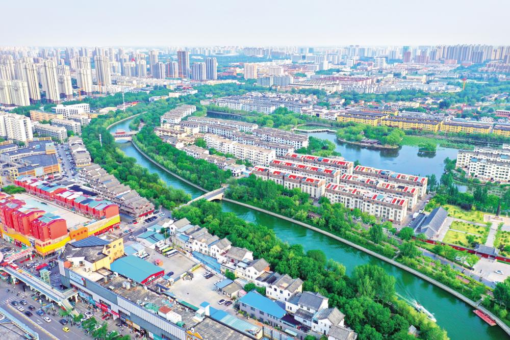 5月25日，市主城区运河两岸绿树成荫、青翠铺展