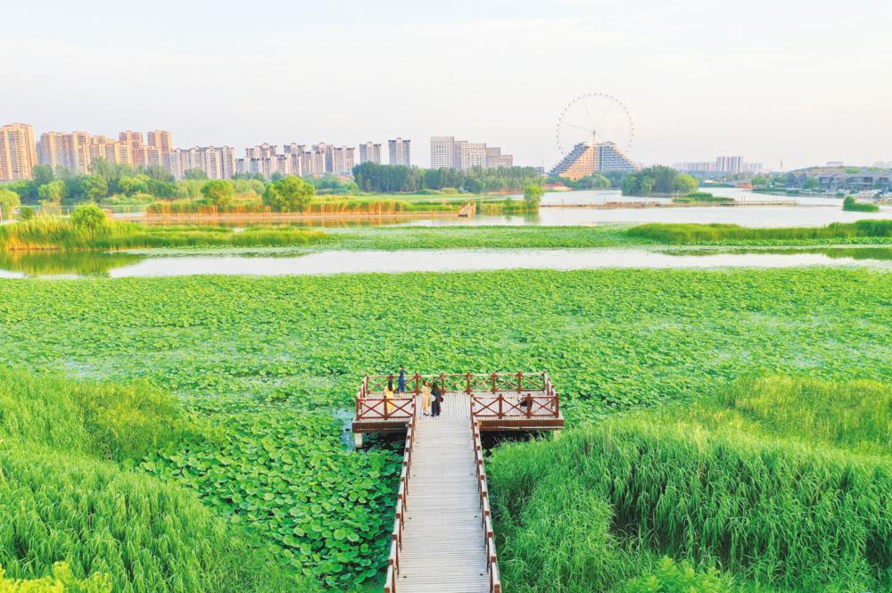 6月1日，市民在东昌湖东南片区湿地游玩