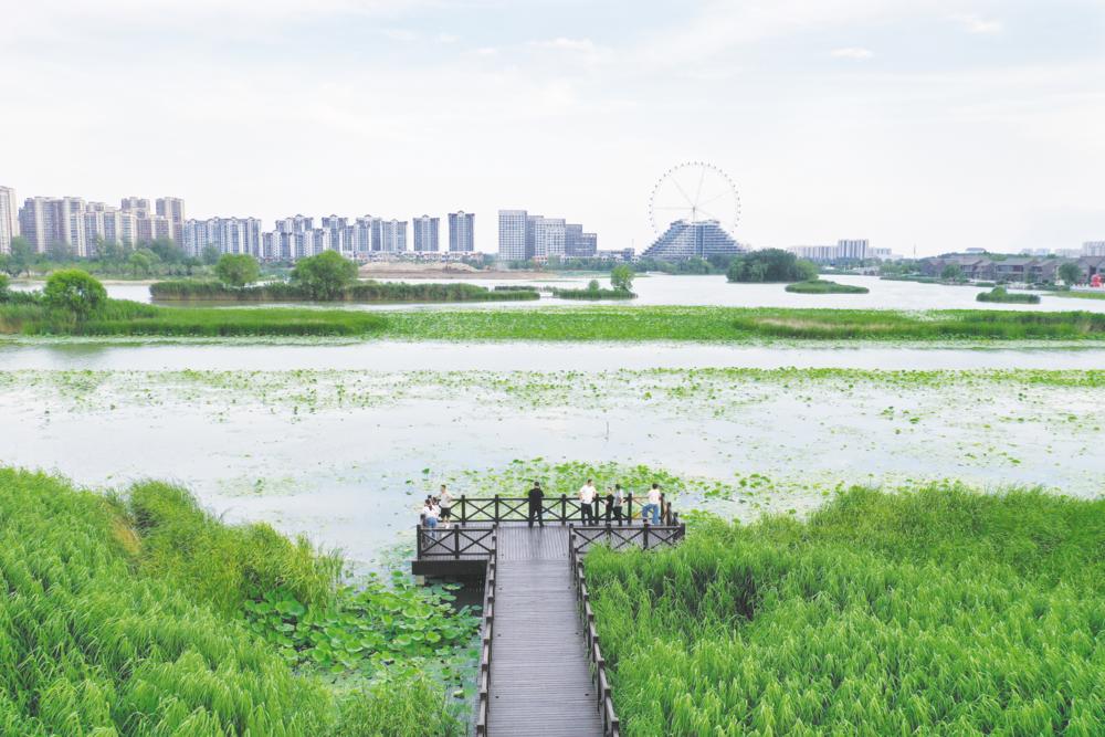 东昌湖畔 赏景纳凉