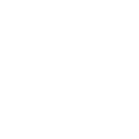 播放